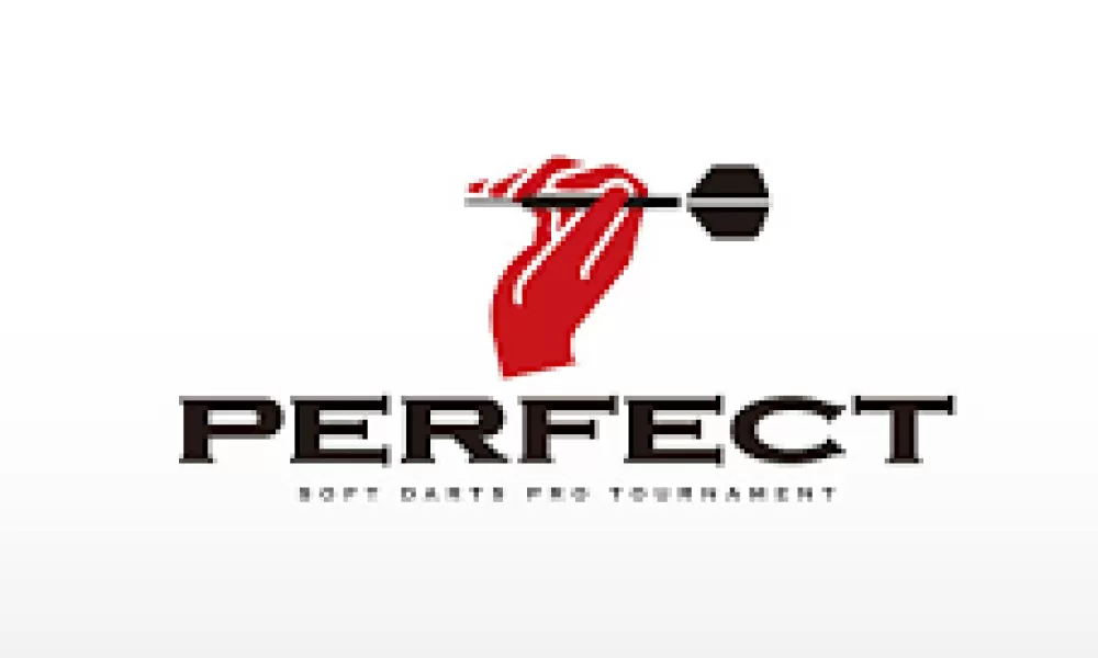 ソフトダーツプロツアー PERFECT